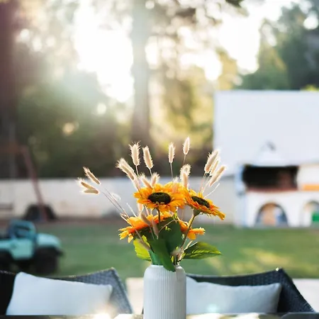 Ozia Private Halkidiki * Kalandra
